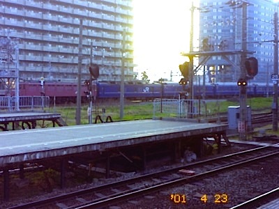 Today's picture