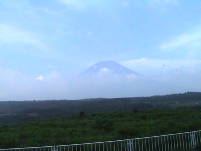 Today's picture