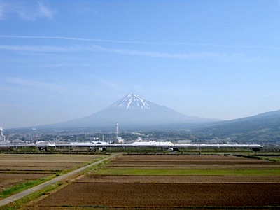 Today's picture
