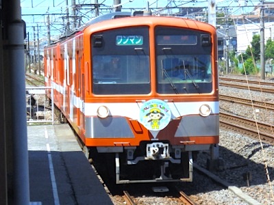 Today's picture